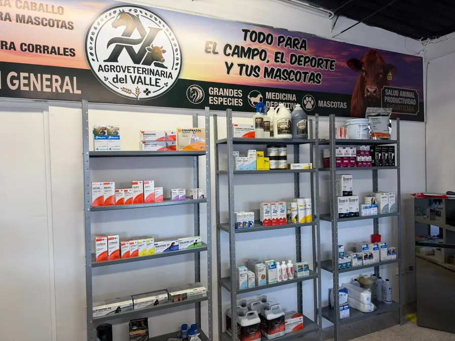 Interior de la tienda
